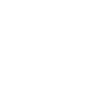VÌ SAO BẠN NÊN CHỌN DINGI.VN